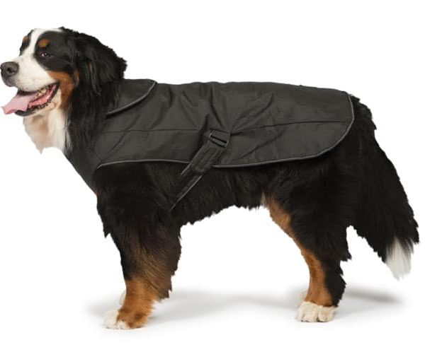 2 in 1 Waterproof Harness Dog Coat in Black