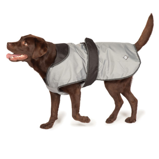 Dog Coat 2 in 1 - Grey