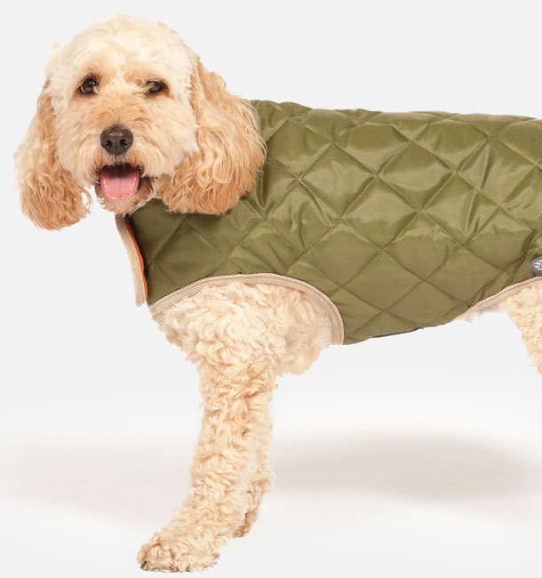 Olive Green Quilted Dog Coat