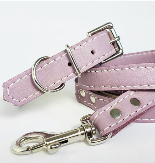 Leather collar and lead blossom