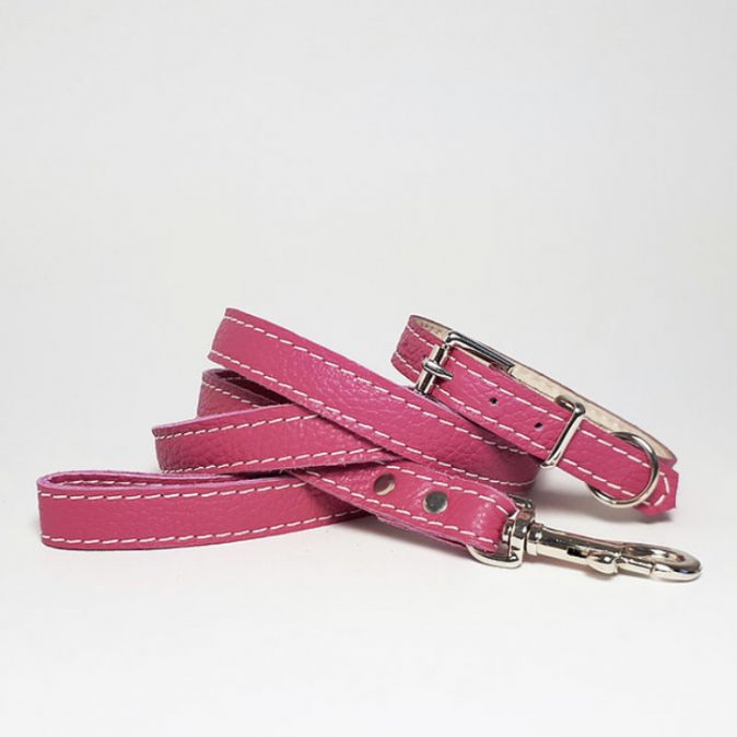 Leather collar and lead Pink