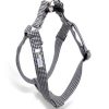 Black And White Dog Harness