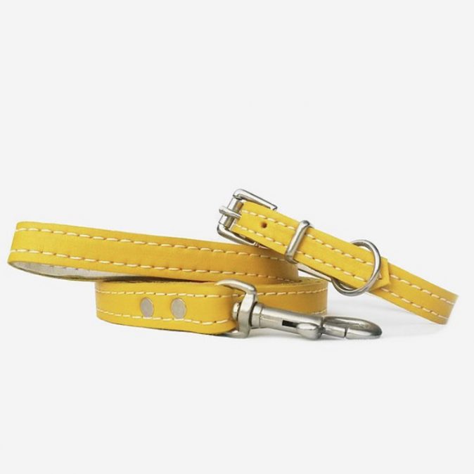 Leather collar and lead Yellow