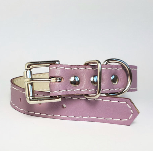 Leather collar and lead blossom
