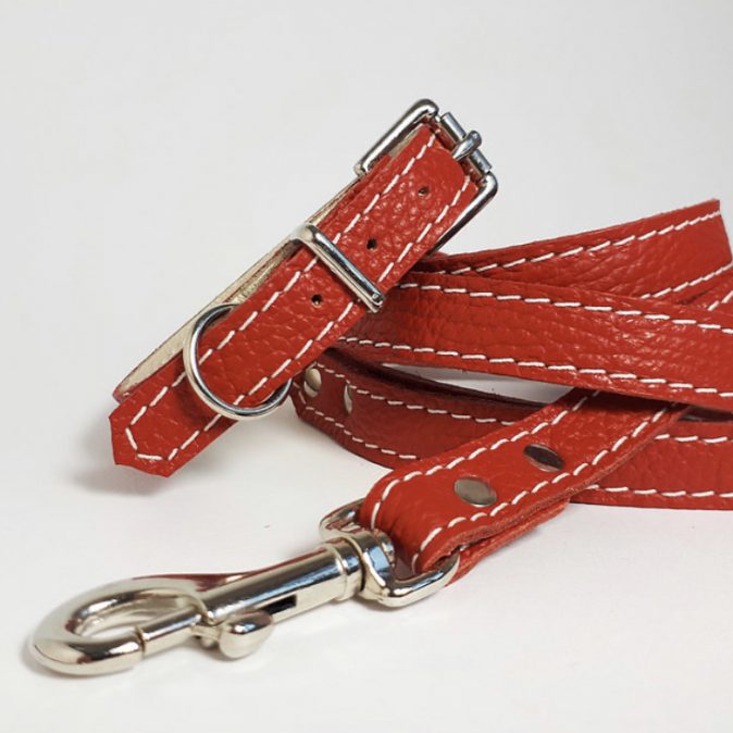 Leather collar and lead Red