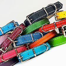 Puppy colour group collars