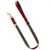 Burgundy and Red Collar and Lead