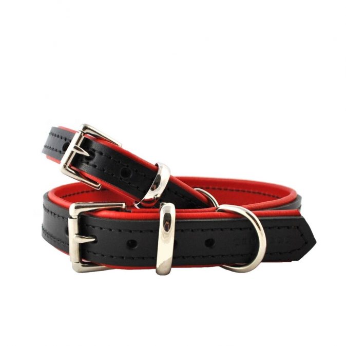 Black on Red Padded Dog Collar