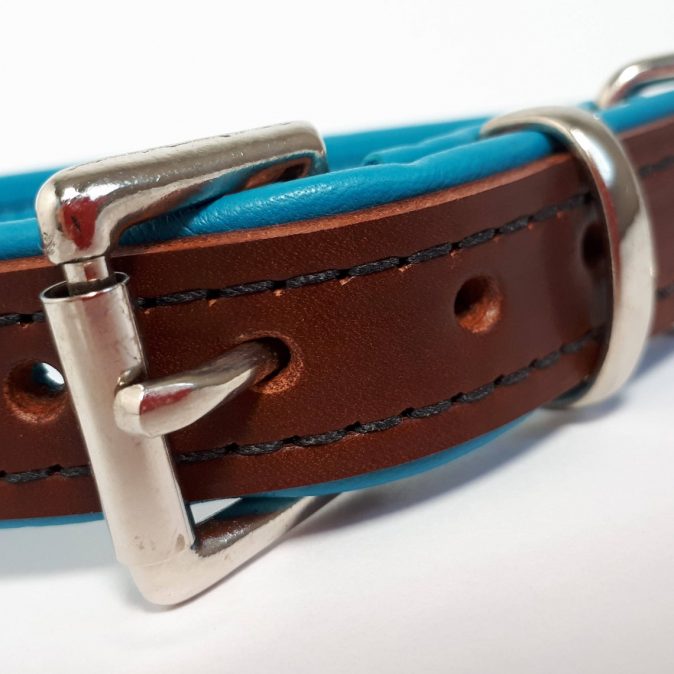 Brown on Turquoise Padded Dog Collar