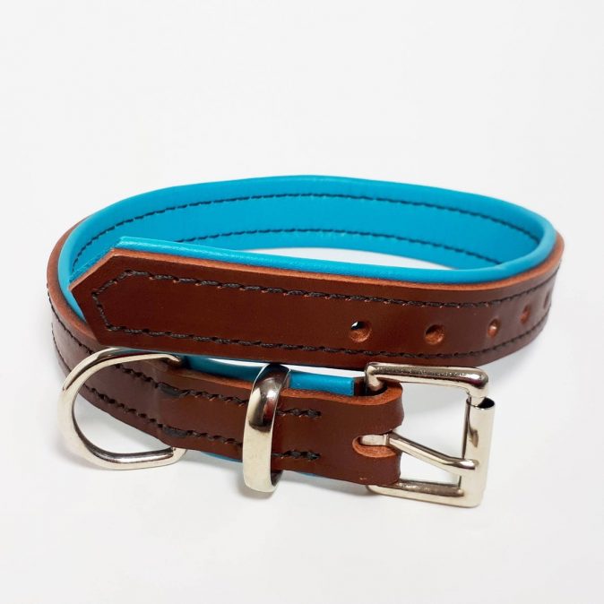 Brown on Turquoise Padded Dog Collar