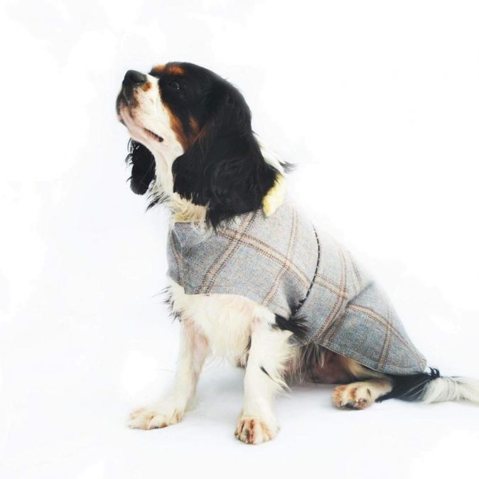 Tweed Darcy Dog Coat