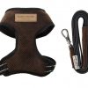 Brown Dog Harness Candy