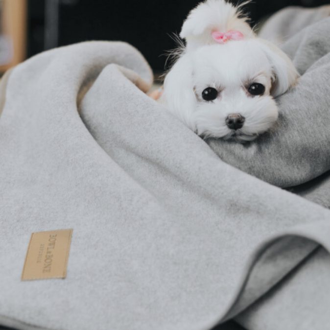 Grey Dog Blanket Zen