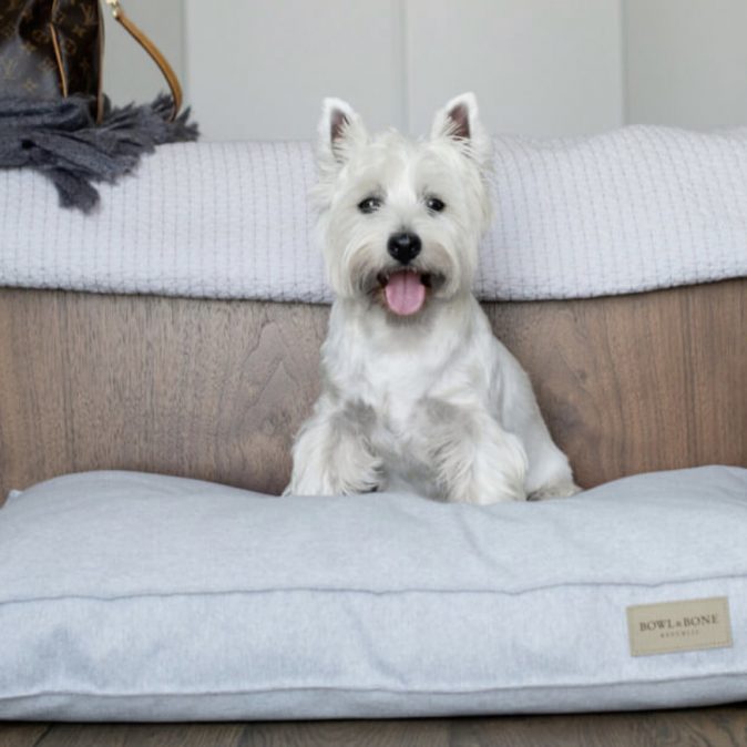 Grey Dog Cushion Loft