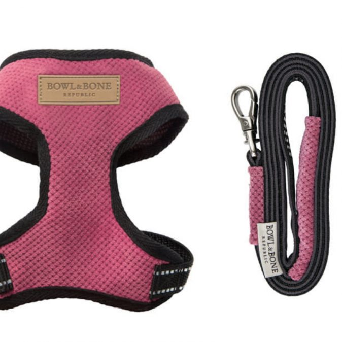 Pink Dog Harness Candy
