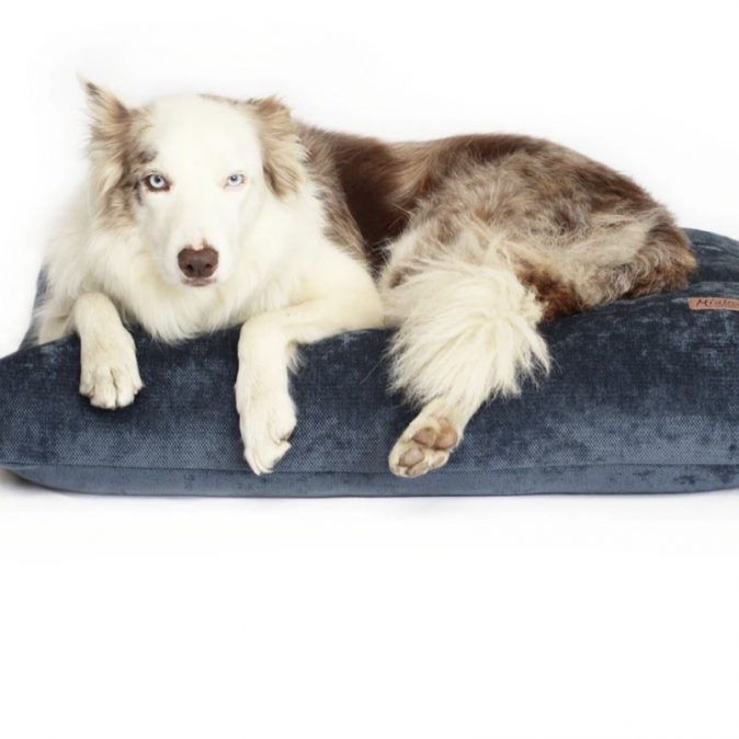 NORDIC BLUE -CUSHION DOG BED