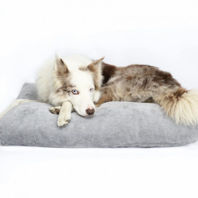 OPULENCE GREY -CUSHION DOG BED