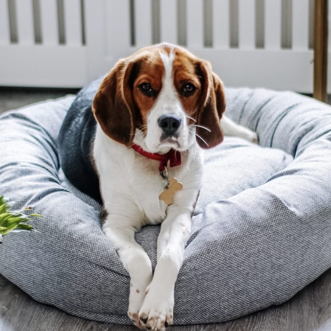 MISTY GREY - WEAVE DOG DONUT BED
